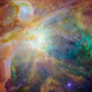 Meet your Posher, Pamela